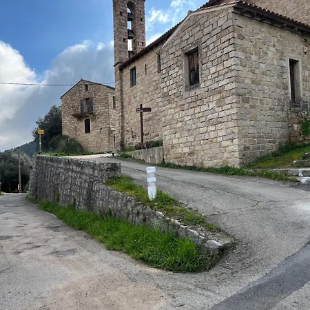 Casa Alivu *