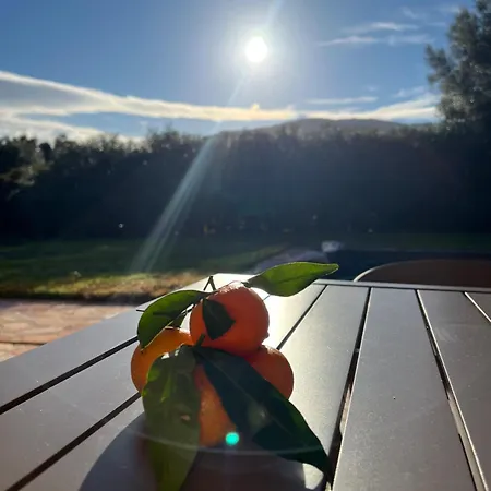 Tatil Evi Casa Alivu *